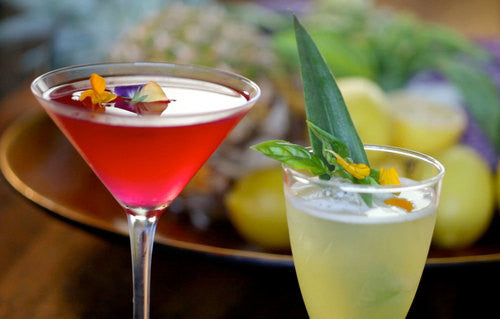 Cultured Cocktails - Kraut Source