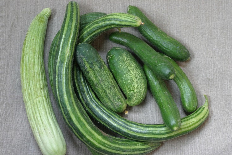 7 Health Benefits of Cucumbers