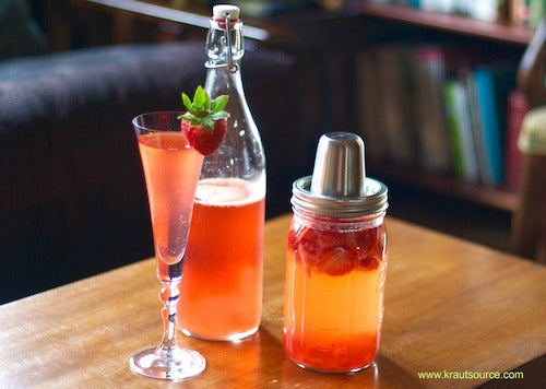 July 30, 2020 - Bubbly Fermented Beverages with Good Bacteria Webinar (RECORDING AVAILABLE)