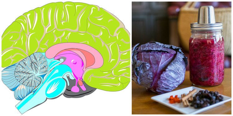 5 Tips for Brain Health