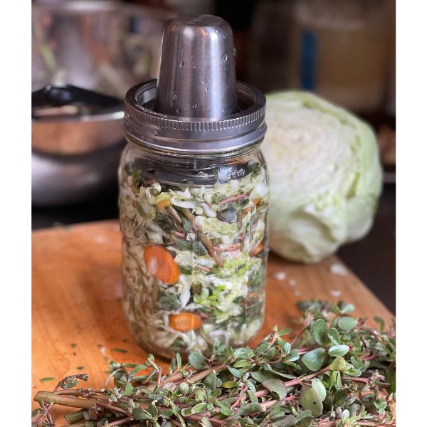 Sauerkraut with Purslane