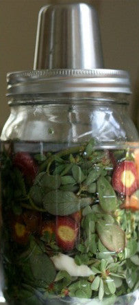 Purslane & Carrot Ferment